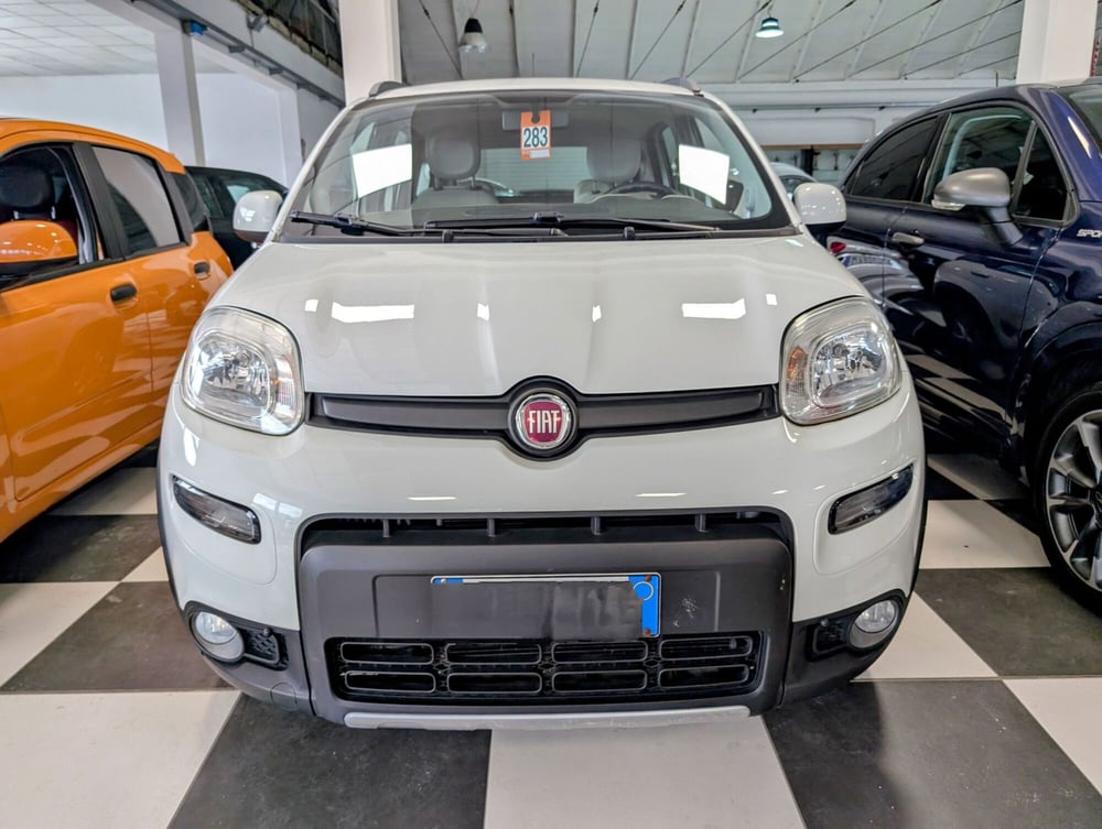 Fiat Panda usata a Arezzo (2)