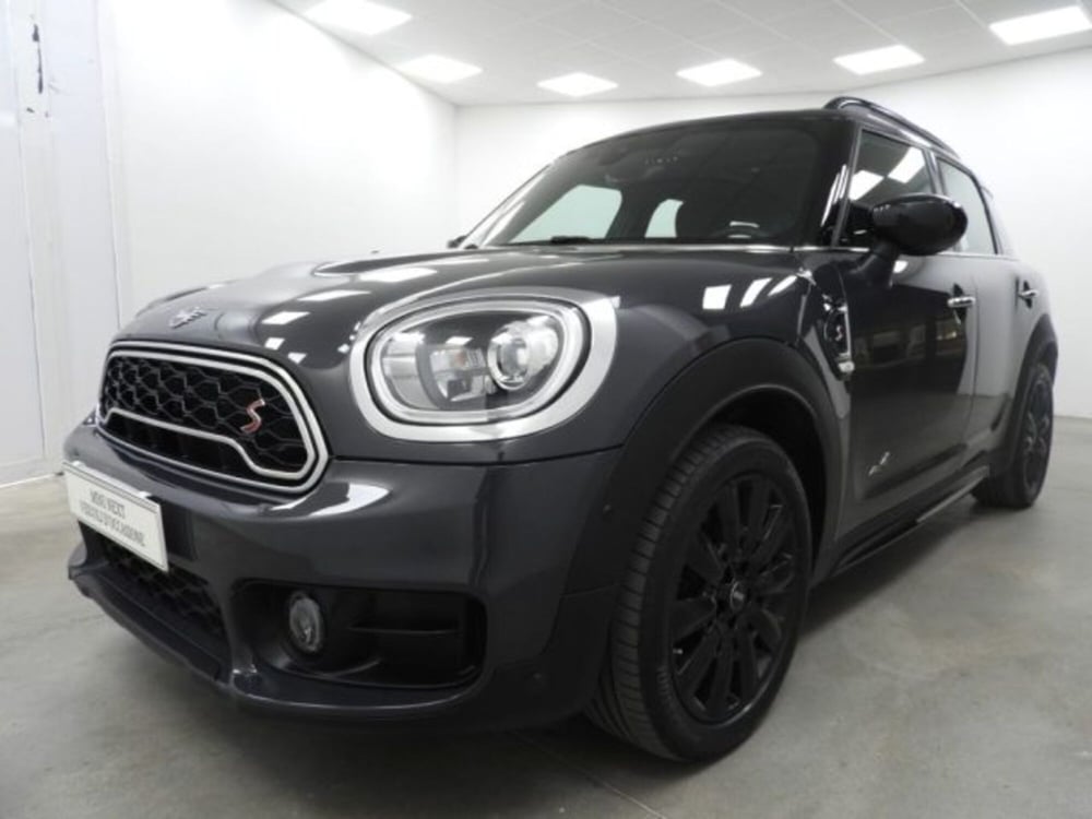 MINI Mini Countryman usata a Torino