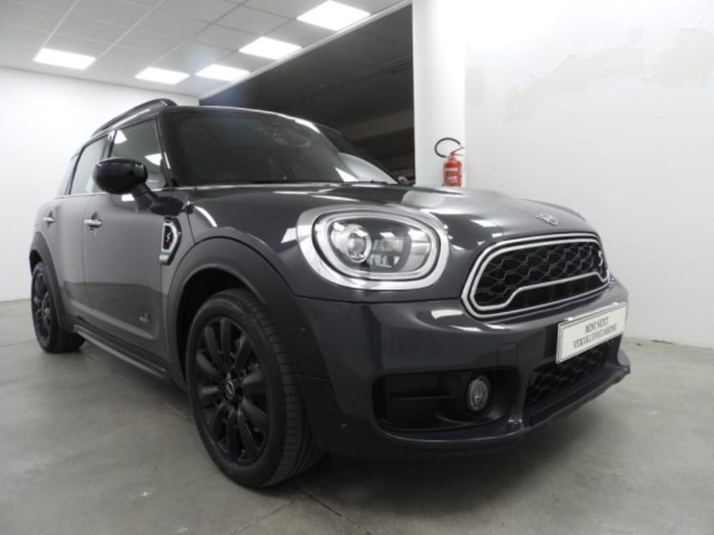 MINI Mini Countryman usata a Torino (7)