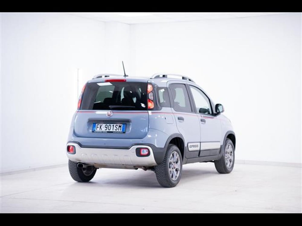 Fiat Panda Cross usata a Torino (2)