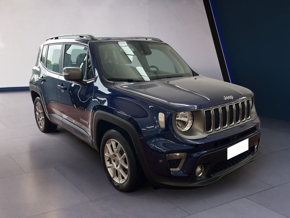 Jeep Renegade usata a Torino (3)