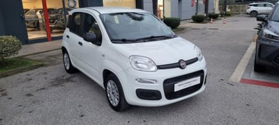 Fiat Panda 1.2 EasyPower Easy  del 2019 usata a Monte di Procida