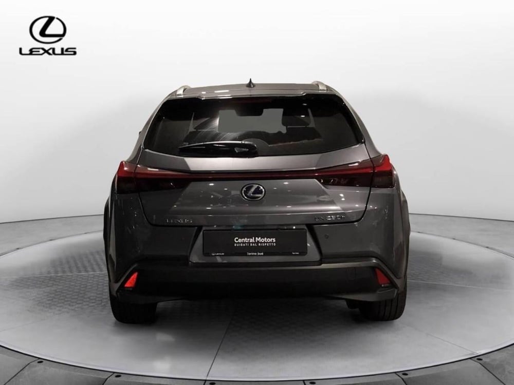 Lexus UX usata a Torino (5)