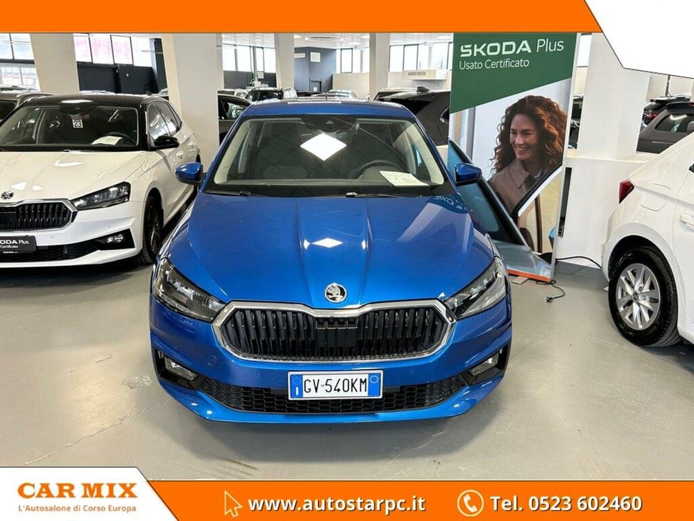 Skoda Fabia usata a Piacenza (2)