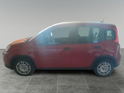 Fiat Panda Cross Cross 1.0 FireFly S&amp;S Hybrid  nuova a Maglie