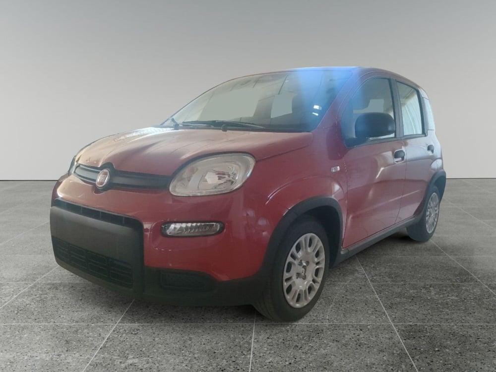 Fiat Panda Cross nuova a Lecce (2)