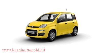 Fiat Panda 1.0 firefly hybrid s&amp;s 70cv 5p.ti nuova a Cassano d&#039;Adda