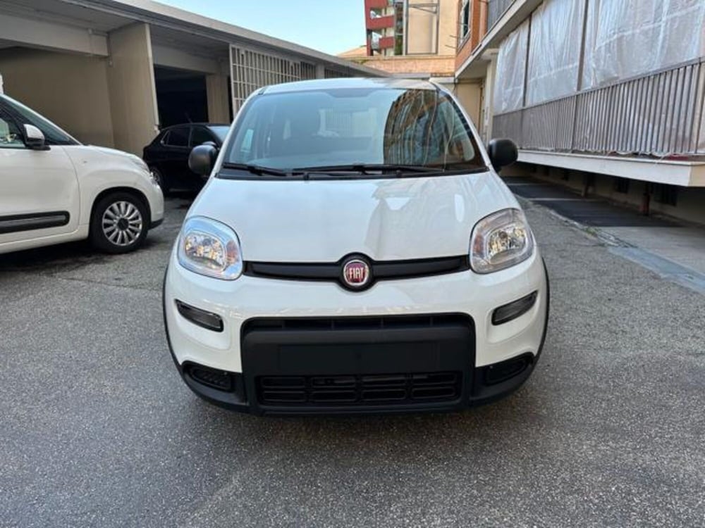 Fiat Panda nuova a Torino (2)