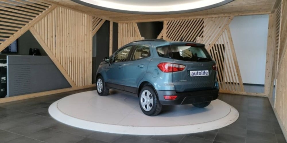 Ford EcoSport usata a Catanzaro (9)