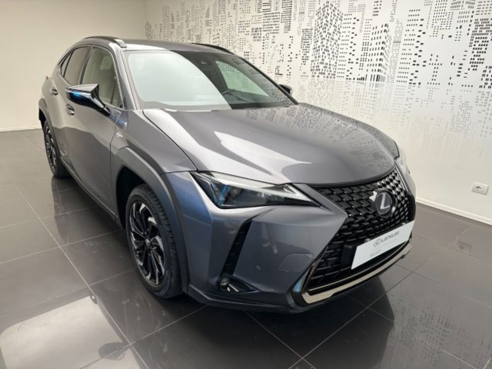 Lexus UX usata a Cuneo (2)