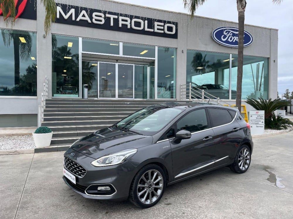 Ford Fiesta usata a Lecce (3)