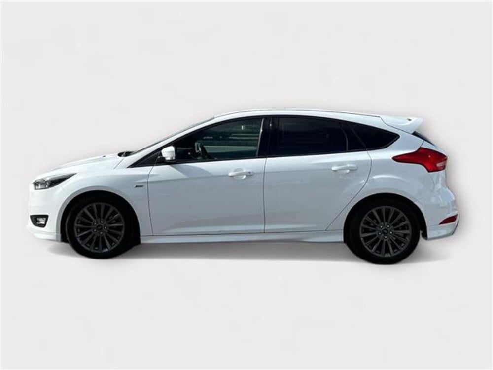 Ford Focus usata a Livorno (2)