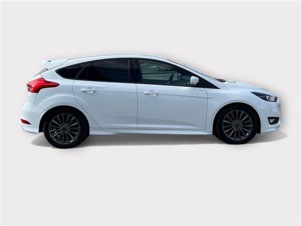 Ford Focus usata a Livorno (6)