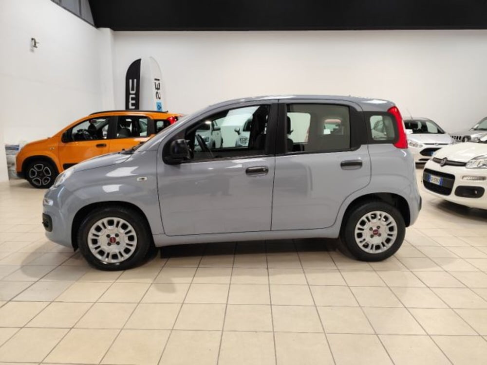 Fiat Panda usata a Torino (10)