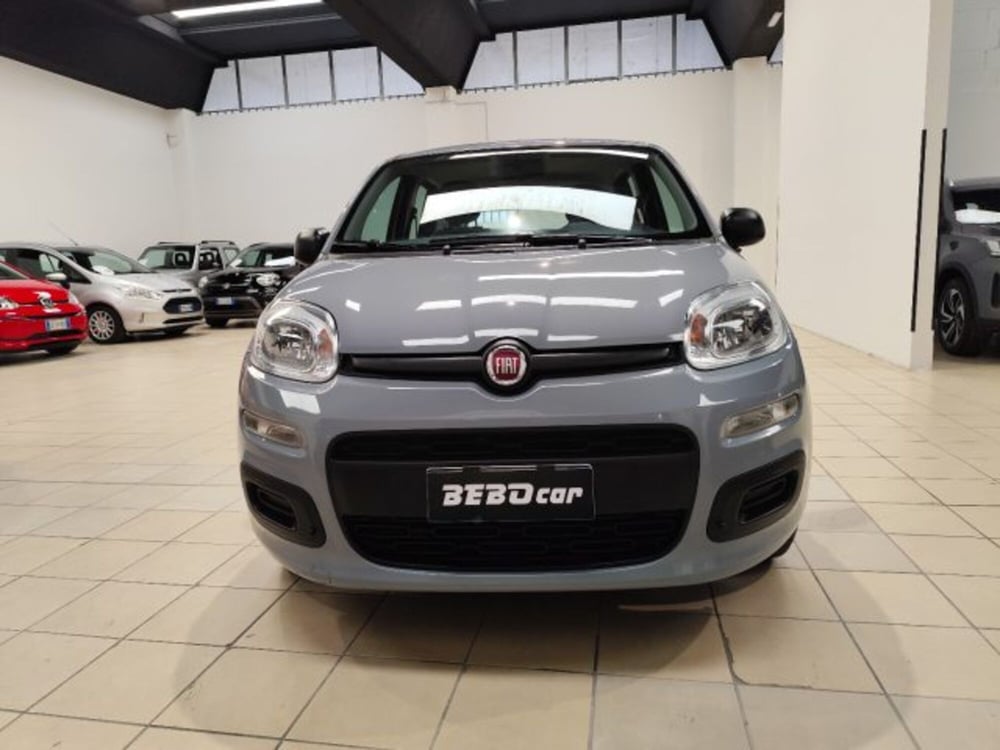 Fiat Panda usata a Torino (2)