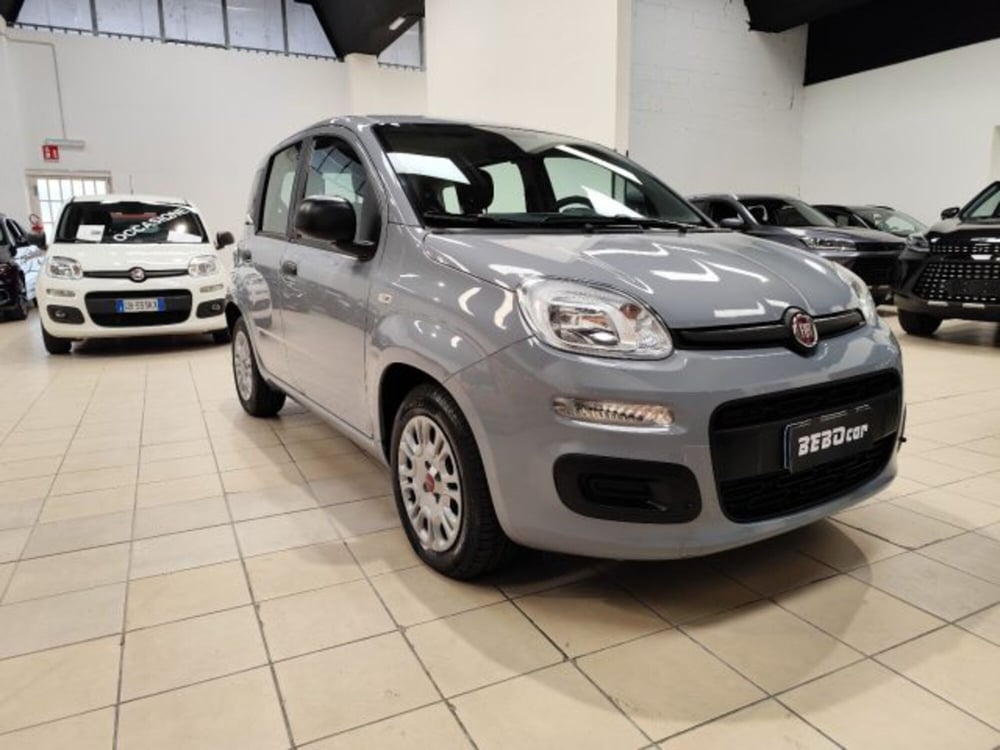 Fiat Panda usata a Torino (3)
