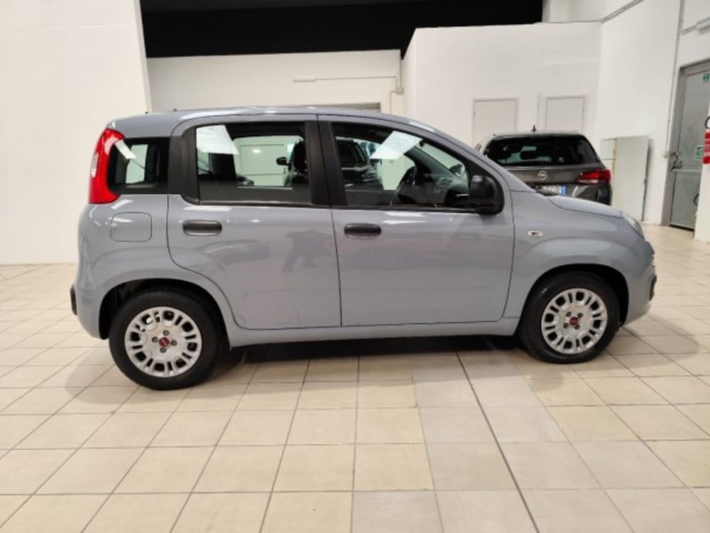 Fiat Panda usata a Torino (4)