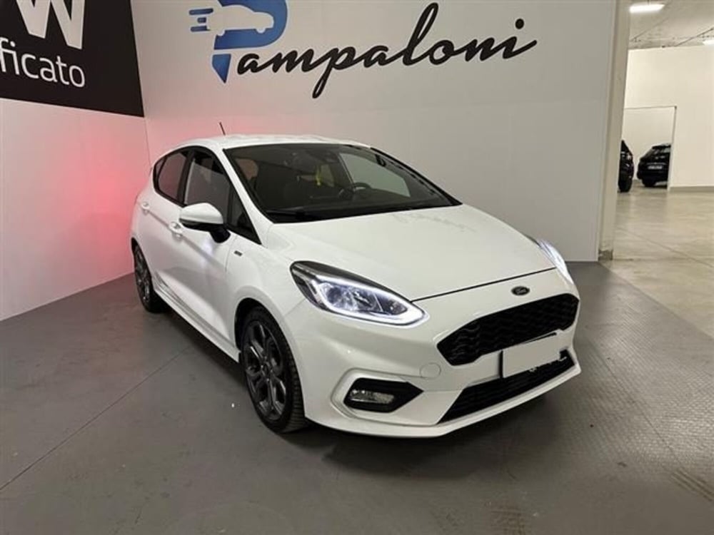 Ford Fiesta usata a Siena (2)