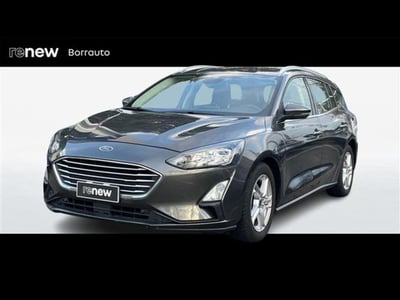 Ford Focus Station Wagon 1.5 EcoBlue 120 CV automatico SW Business  del 2020 usata a Montebelluna