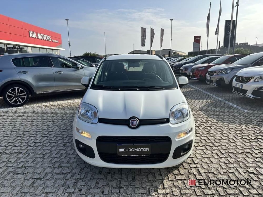 Fiat Panda usata a Bari (2)