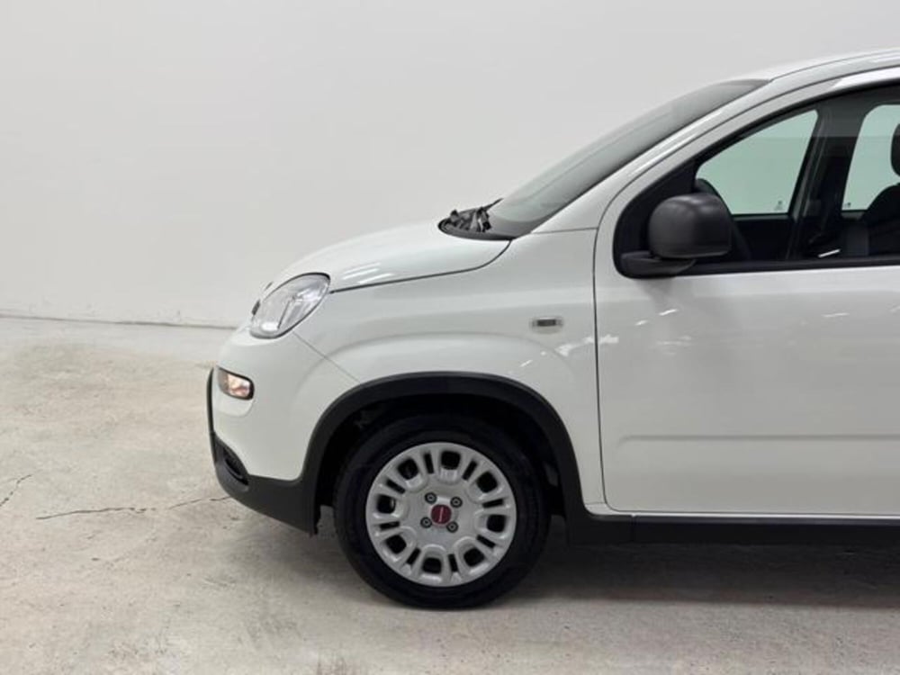 Fiat Panda nuova a Como (9)