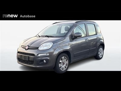 Fiat Panda 1.2 Lounge  del 2018 usata a Albignasego