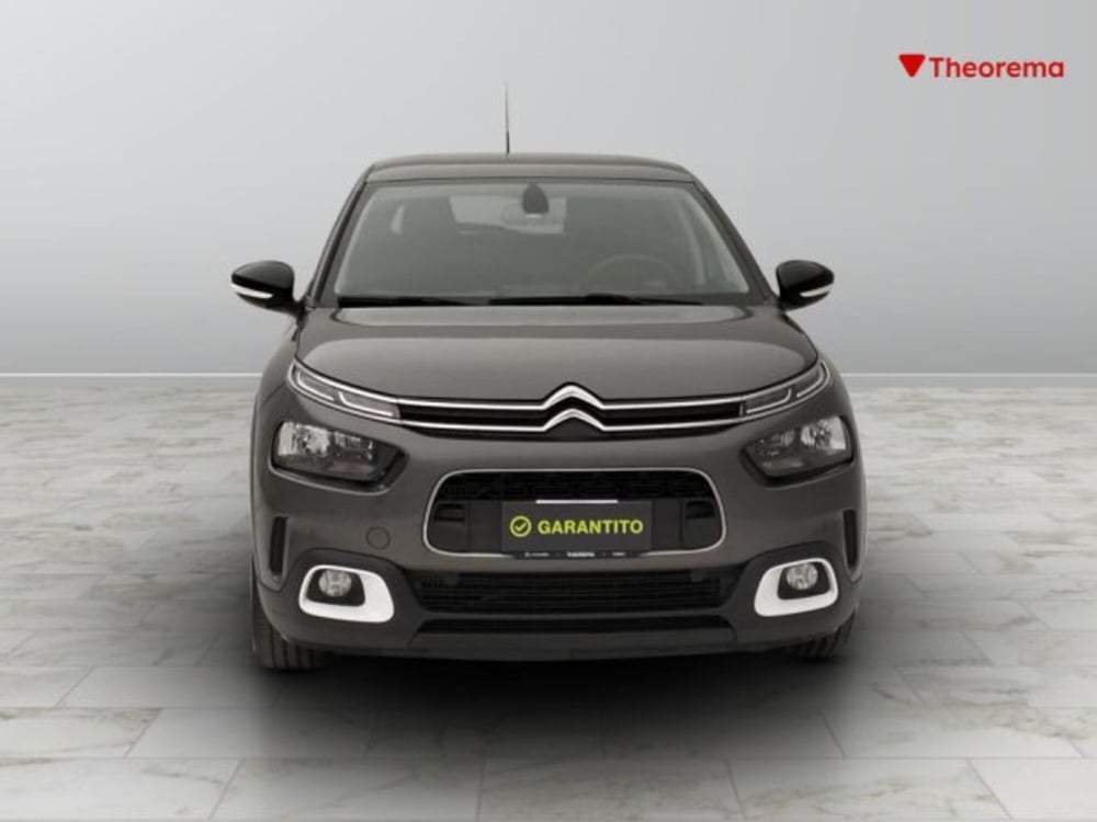 Citroen C4 Cactus usata a Torino (8)