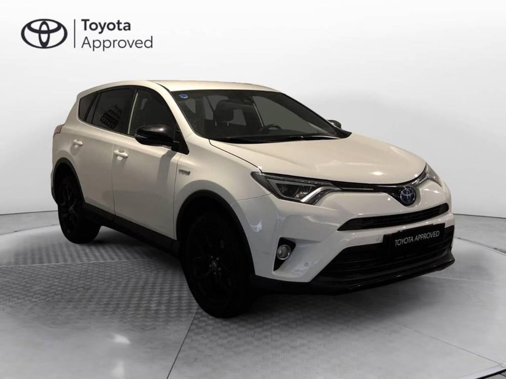 Toyota Rav4 usata a Torino (2)