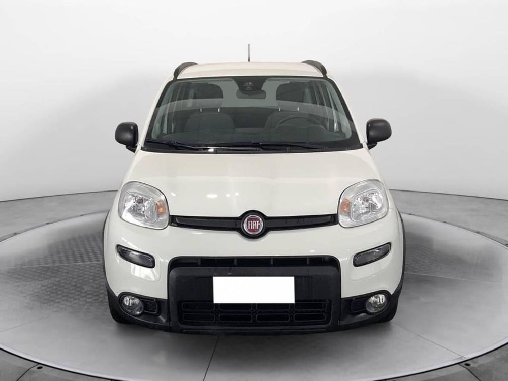 Fiat Panda usata a Torino (2)