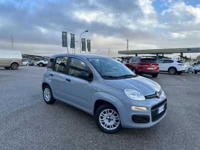 Fiat Panda 1.2 Easy  del 2018 usata a Maniago