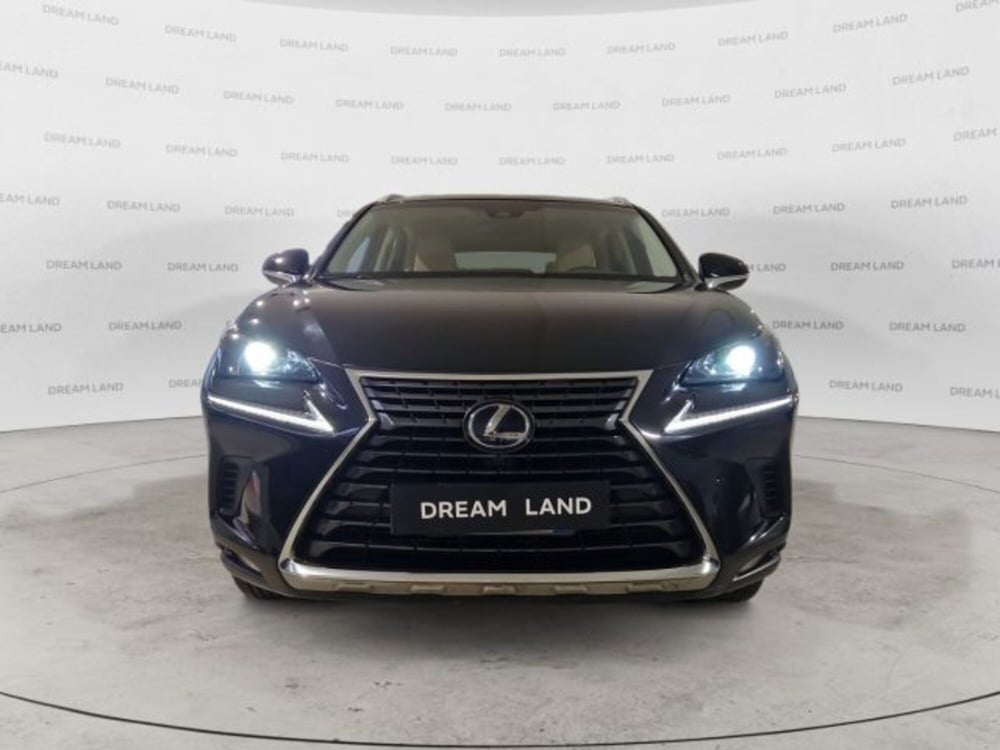 Lexus NX usata a Livorno (2)