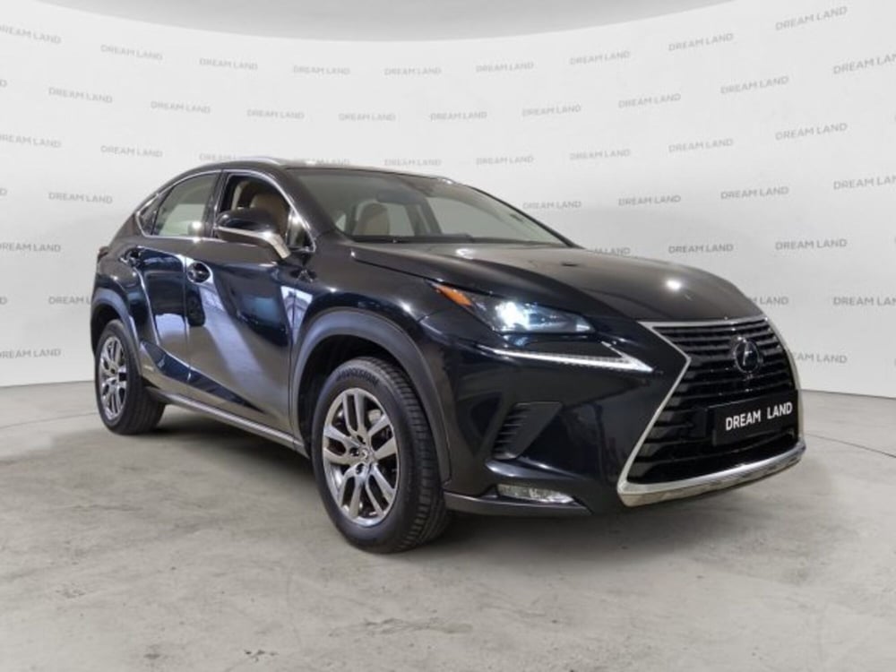 Lexus NX usata a Livorno (3)