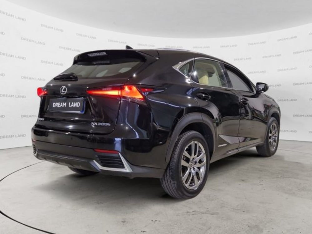 Lexus NX usata a Livorno (6)