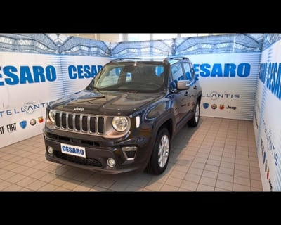 Jeep Renegade 2.0 Mjt 140CV 4WD Active Drive Limited  del 2020 usata a Pont Saint Martin