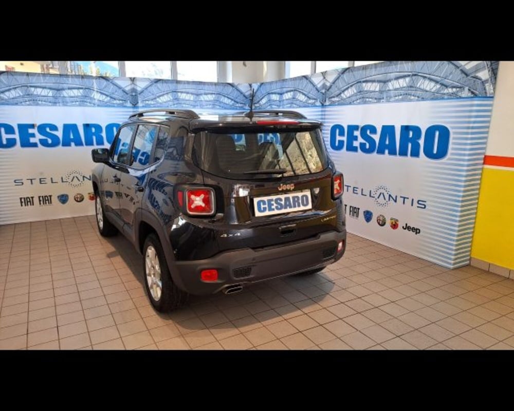 Jeep Renegade usata a Aosta (3)