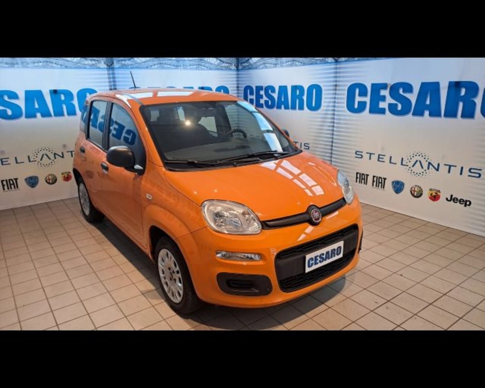 Fiat Panda usata a Aosta