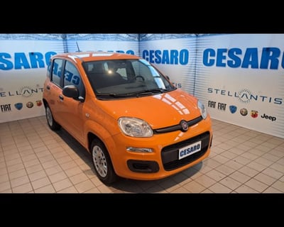 Fiat Panda 1.2 Easy  del 2020 usata a Pont Saint Martin