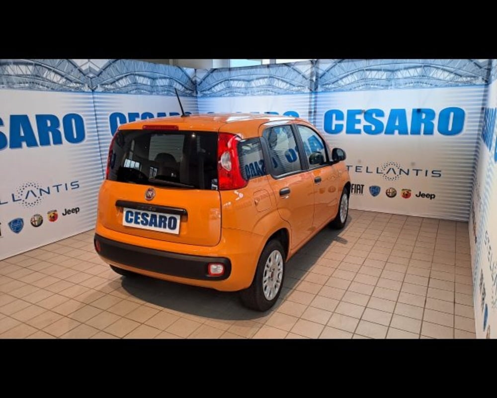 Fiat Panda usata a Aosta (4)