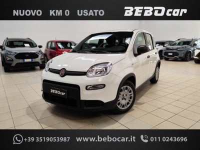 Fiat Panda 1.0 firefly hybrid s&amp;s 70cv 5p.ti nuova a Collegno