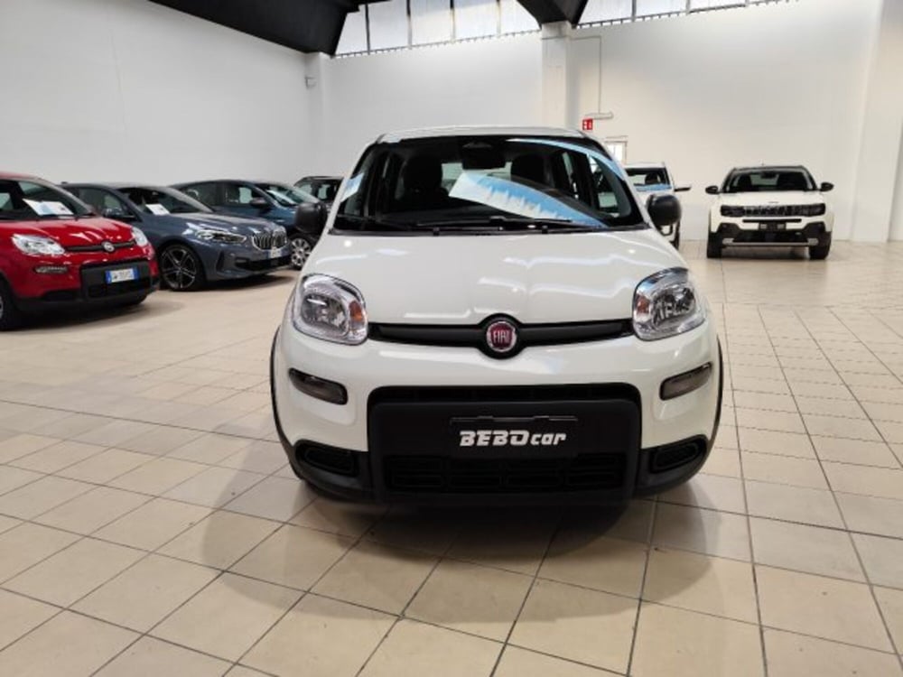 Fiat Panda nuova a Torino (2)