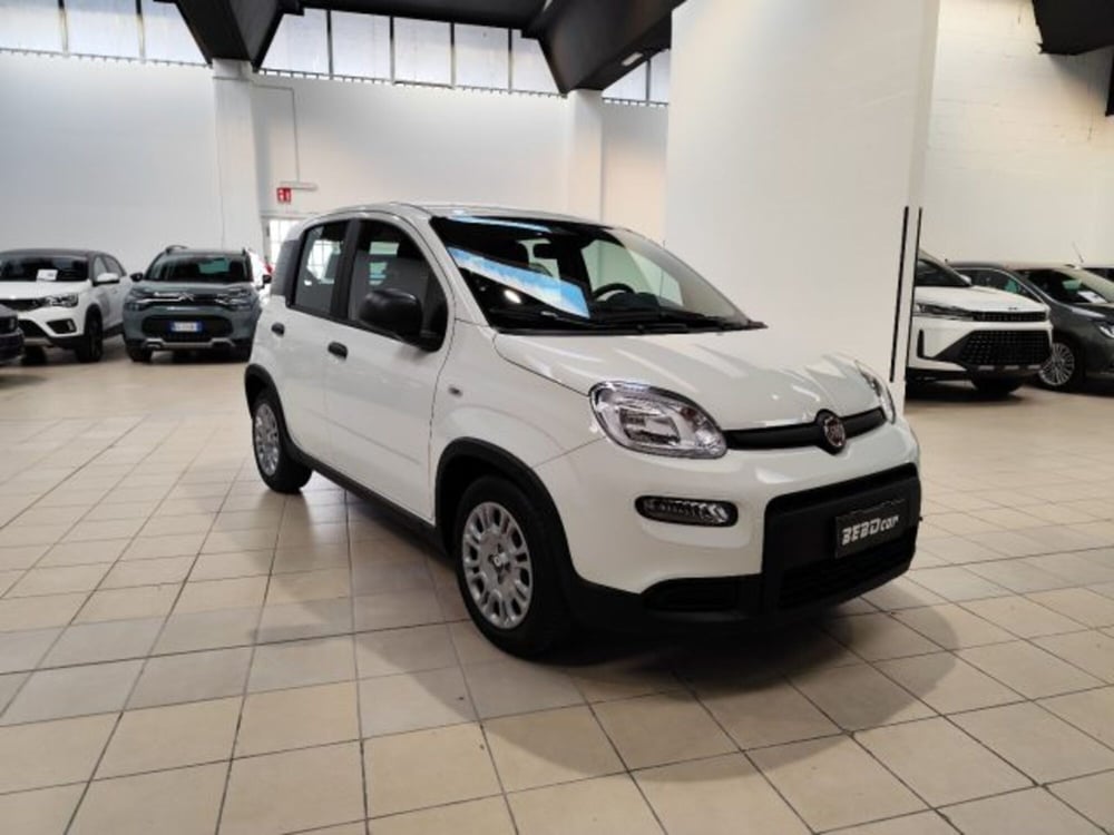 Fiat Panda nuova a Torino (3)
