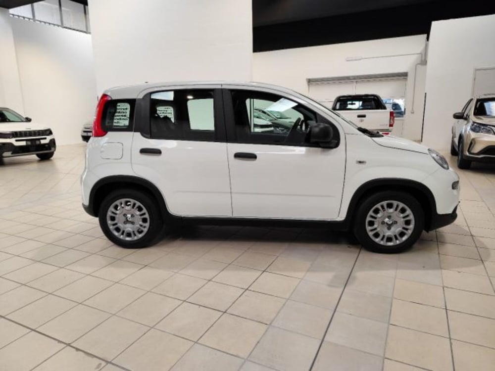 Fiat Panda nuova a Torino (4)