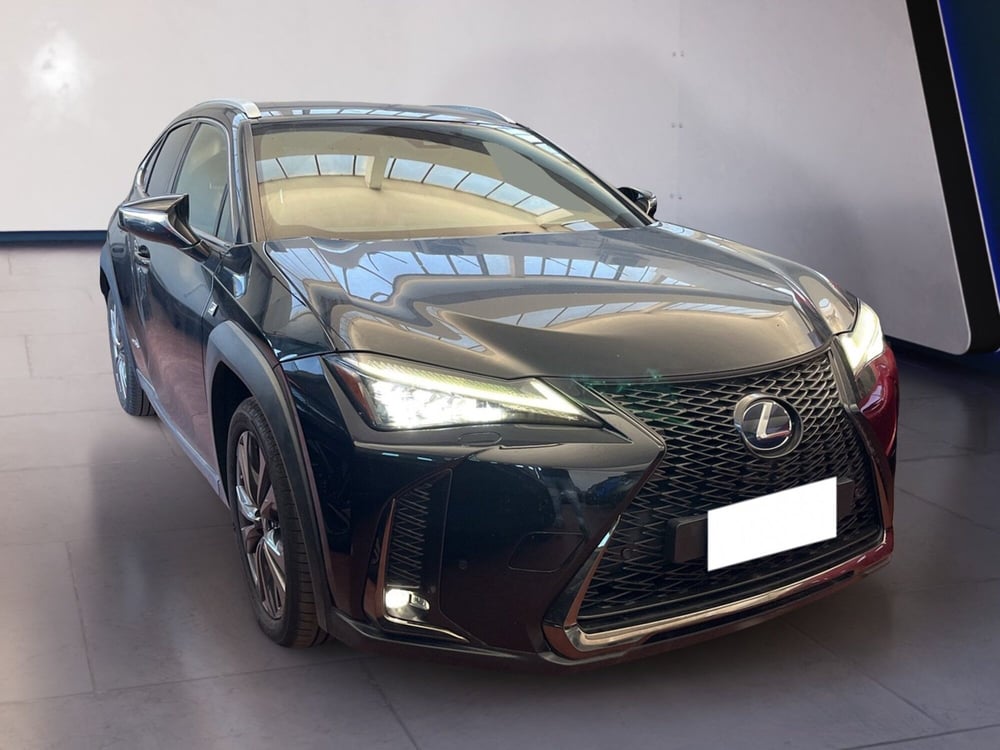 Lexus UX usata a Torino (2)