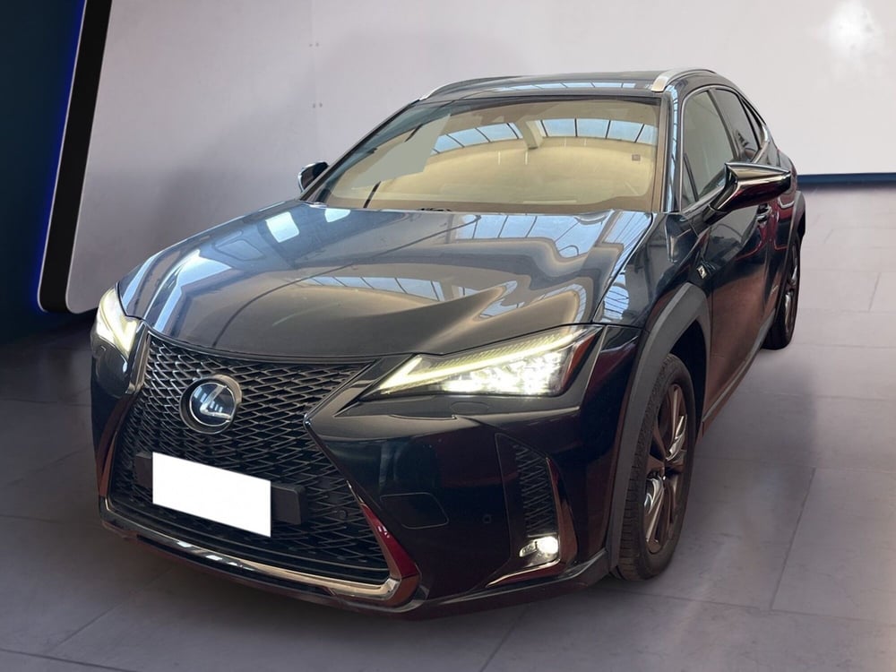 Lexus UX usata a Torino (3)