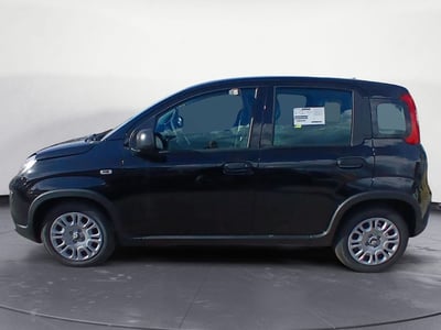 Fiat Panda 1.0 FireFly S&amp;S Hybrid City Cross  nuova a Maglie