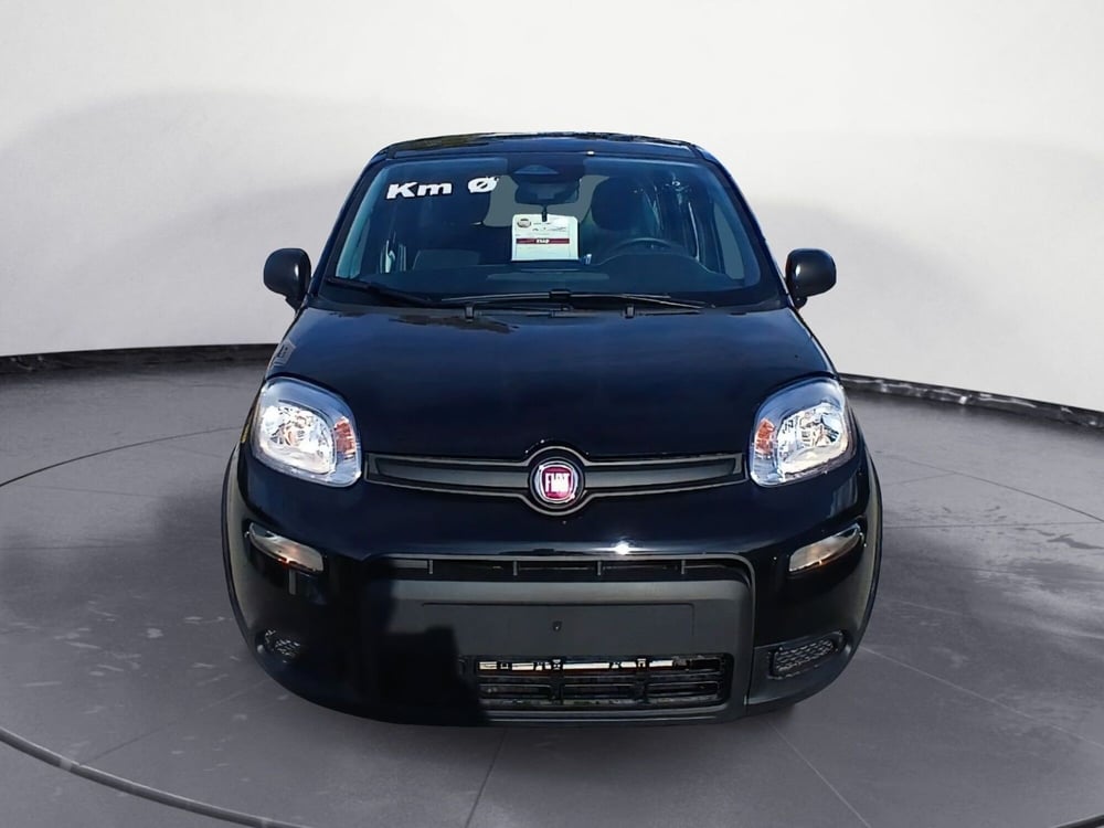 Fiat Panda nuova a Lecce (5)