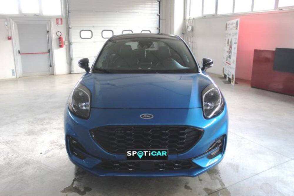 Ford Puma usata a Terni (2)