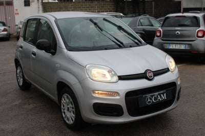 Fiat Panda 1.2 Pop  del 2017 usata a Lecce