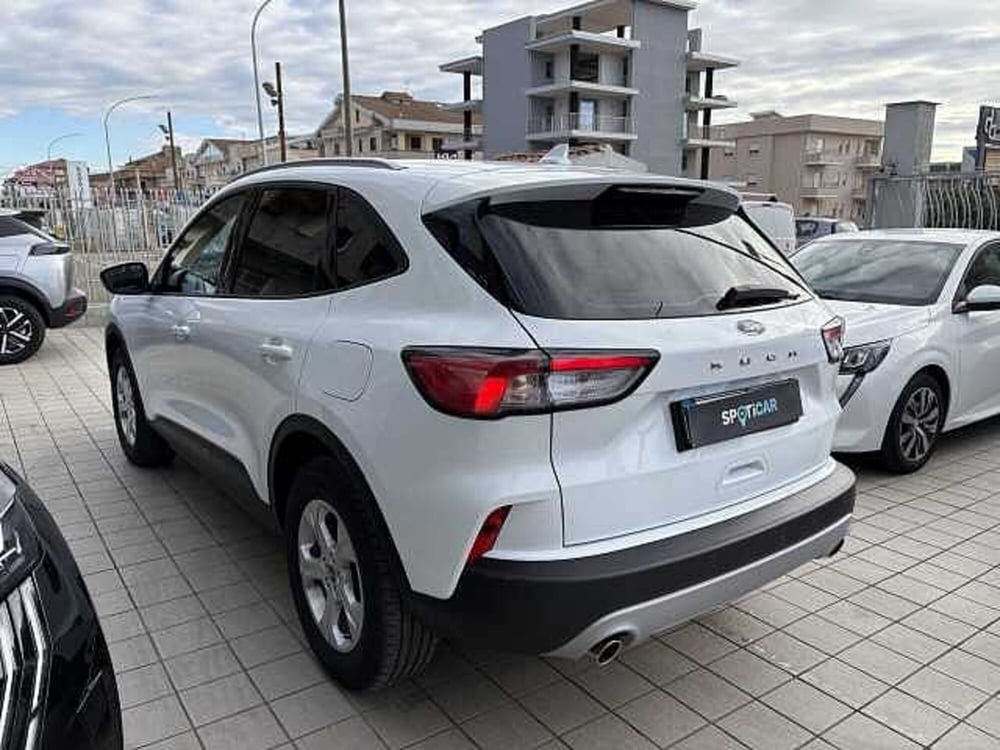 Ford Kuga usata a Vibo Valentia (7)