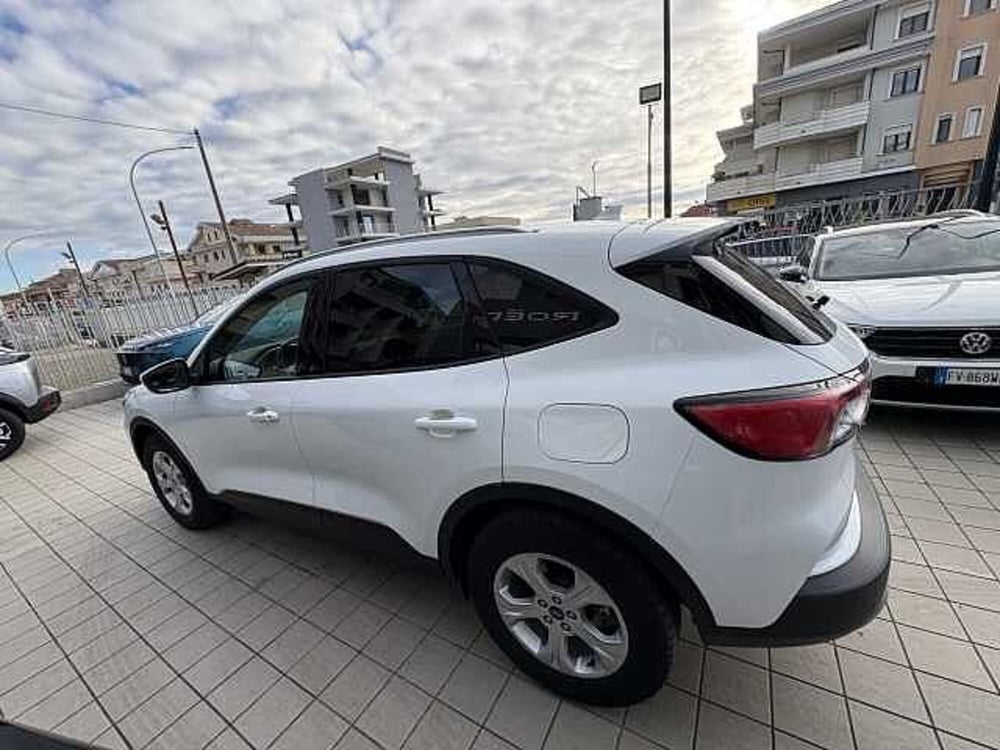 Ford Kuga usata a Vibo Valentia (8)